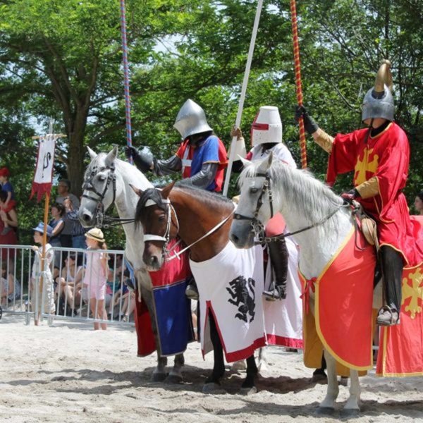 Chevaux et cavaliers à la fête médiévale de Crest