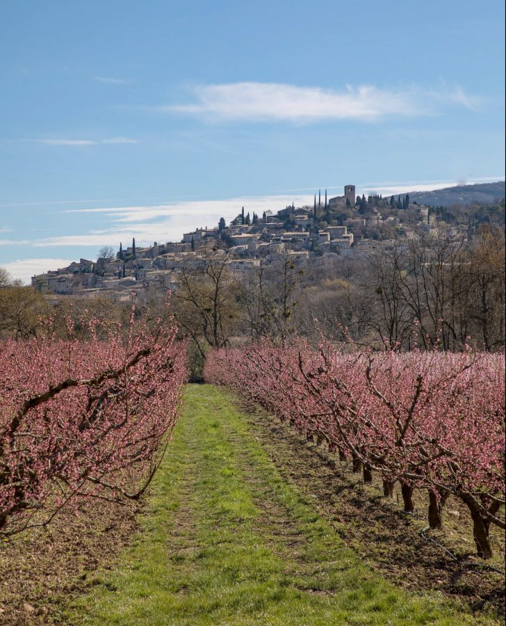 Mirmande dans la Drôme au printemps