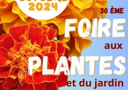 Foires aux plantes et du Jardin