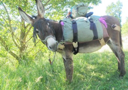 Randoâne : une balade champêtre de Printemps